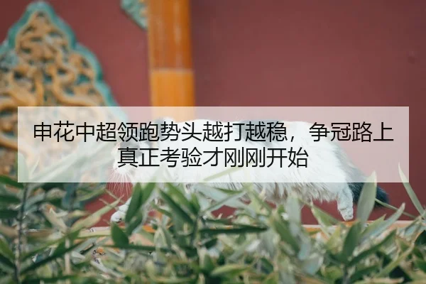 shen-hua-zhong-chao-ling-pao-shi-tou-yue-da-yue-wen-zheng-guan-lu-shang-zhen-zheng-kao-yan-cai-gang-gang-kai-shi-2-108.jpg